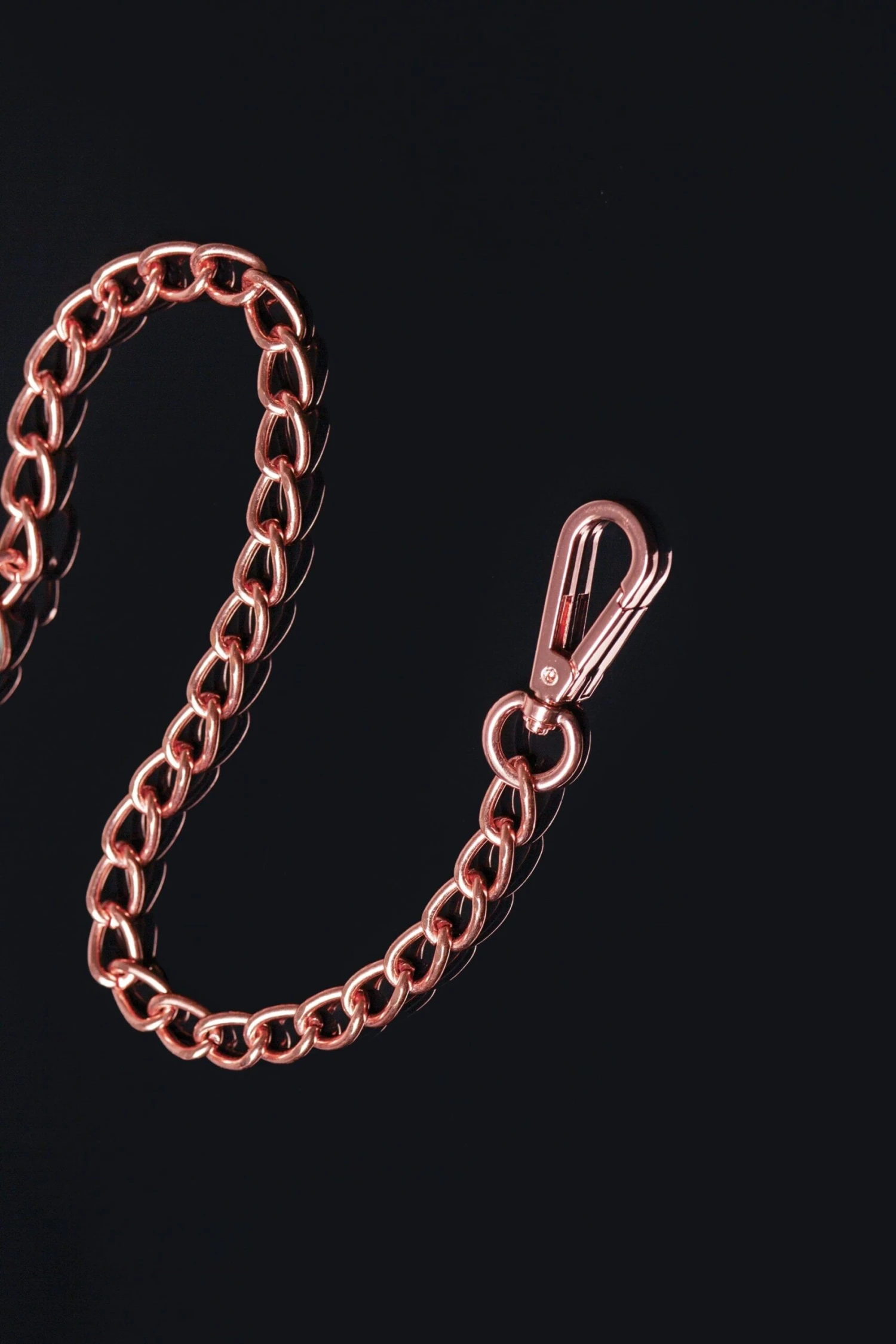 Coquette Metal Chain Leash 3 Coquette Metal Chain Leash - Image 3