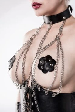 4 Piece Chain Halter Bra W/Corset & Bikini Bottoms -Coquette Shop 4 Piece Chain Halter Bra wCorset Bikini Bottoms Fetish Corsets Grey Velvet SEXYSHOESCOM 3