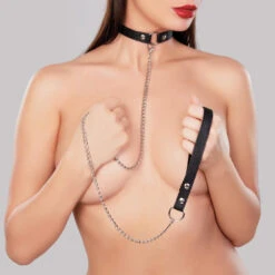 Adore Collar With Detachable Leash